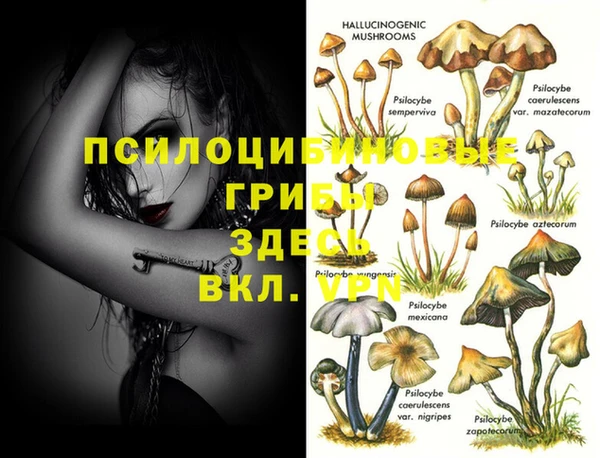 гидропоника Арсеньев